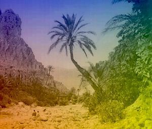 OASIS ET LE M ZAB 00014 EL KANTARA DANS LES GORGES LA PALMERAIE